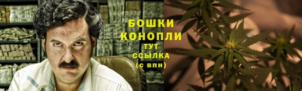 2c-b Вяземский