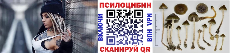 hydra ССЫЛКА  Чебоксары  Псилоцибиновые грибы Psilocybe 